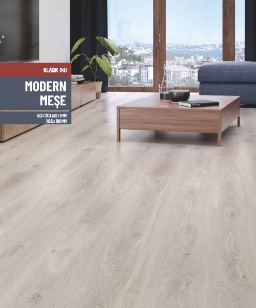 MODERN MEŞE 640